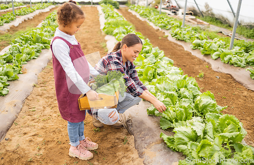 Image of Mother, family and help with farming greenhouse vegetables for sustainability, business and lifestyle. Agriculture, helping and mom with young child holding wood tray in eco friendly farm.