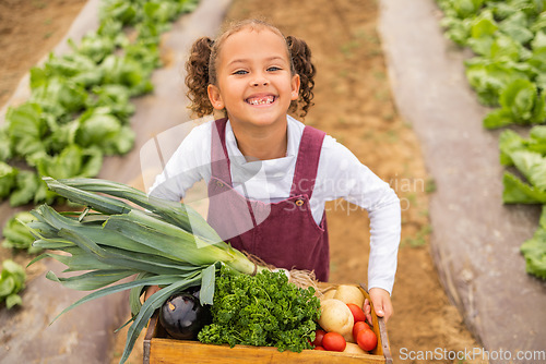 Image of Children, farm and vegetables with a girl working in a greenhouse during the harvest season. Portrait, kids and sustainability with a female child at work on agricultural land for organic farming