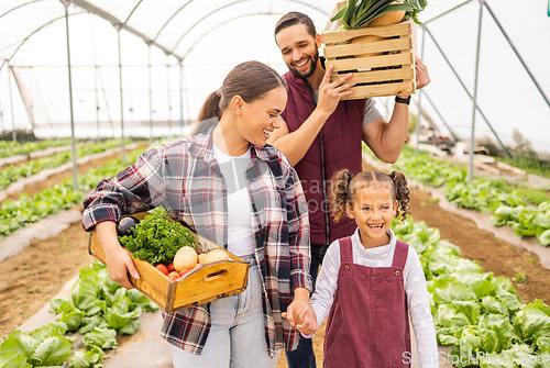 Image of Food, health and agriculture with family on farm for spring, sustainability and growth. Agro, help and plant with mother and father farmer and girl bonding with vegetables box for garden lifestyle