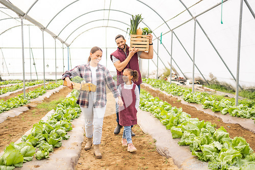 Image of Child with parents on family farm, vegetables garden in greenhouse or self sustainable lifestyle in Brazil. Healthy agriculture plants, happy mother and father with fruit food basket walking together