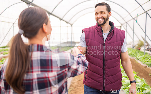 Image of Agriculture greenhouse field, handshake and farmer agreement on agribusiness deal, partnership or teamwork. Farming industry collaboration, sustainability and cooperation of man and woman on eco farm