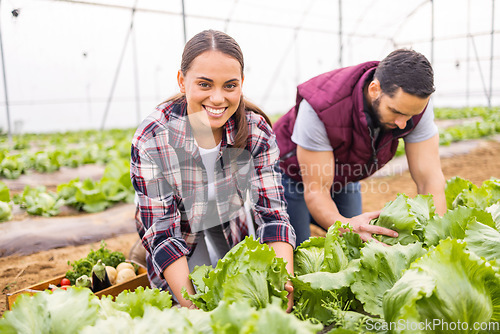 Image of Couple farming agriculture, greenhouse lettuce and sustainability teamwork together with plants. Happy farmer woman with man, green harvest portrait and natural vegetable growth for nutrition health