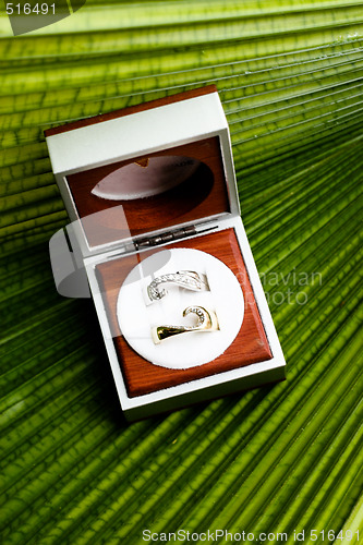 Image of Wedding rings