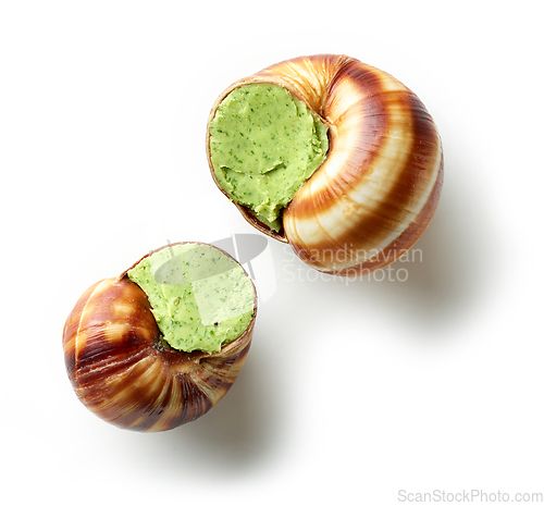 Image of escargot snail stuffed with garlic and parsley butter