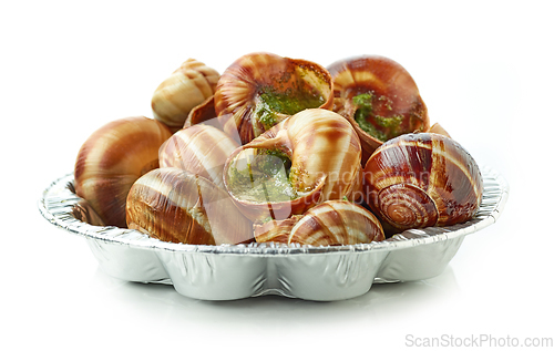 Image of plate of baked escargot snails filled with parsley and garlic bu