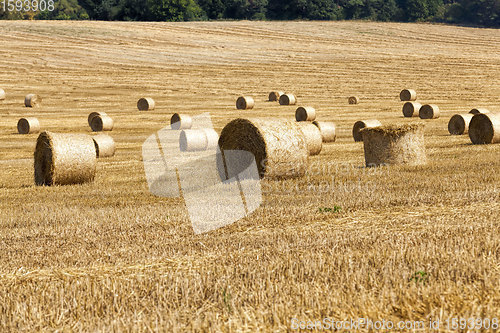 Image of agricultural field with straw stacks