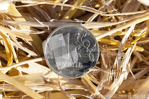 Image of Russian coins on an agricultural field