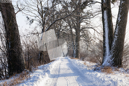 Image of narrow snow-covered winter road