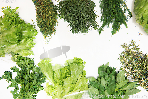 Image of Different types of fresh garden herbs