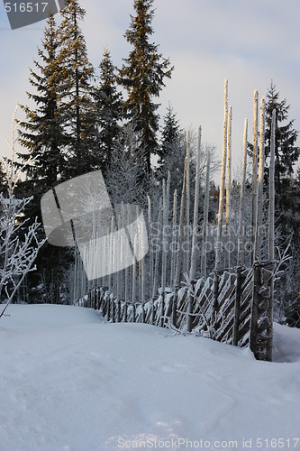Image of winter in Trysil