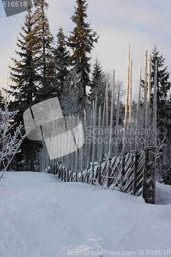 Image of winter in Trysil