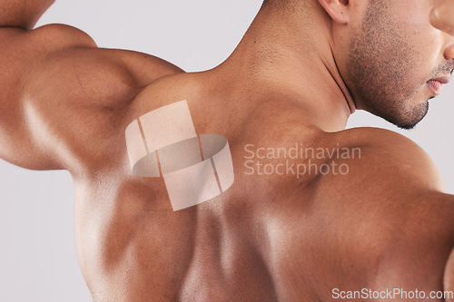 Image of Back, bodybuilder and flex muscle for competition, weightlifting and pride for body care in studio background. Male athlete, demonstrate biceps and shoulders ready for performance and fitness workout