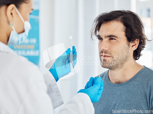 Image of Covid test, patient and nose swab of a doctor pcr test a man for corona in a hospital or clinic. Healthcare, medical and health consultant working to help with coronavirus consulting and nursing