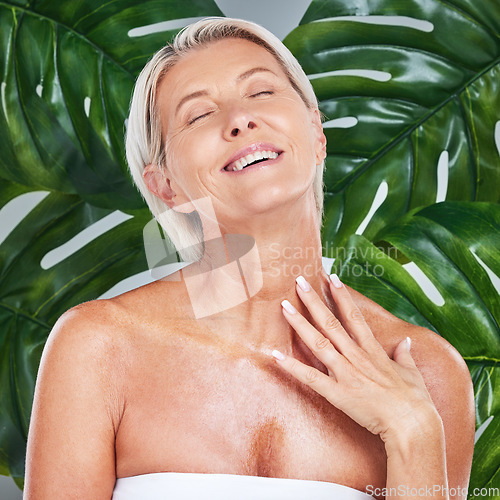 Image of Beauty, skincare and senior woman in a studio with an anti aging, natural and organic face routine. Happy, smile and elderly lady with a cosmetic wellness facial treatment isolated by leaf background