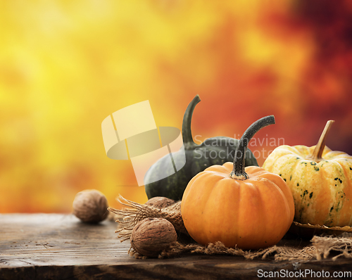 Image of Autumn crops