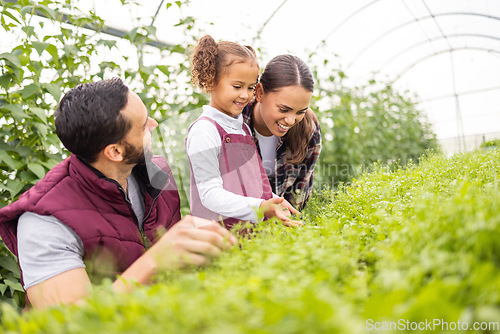 Image of Learning, greenhouse and farming family in garden with child for plants knowledge, teaching and sustainable lifestyle. Happiness, carbon capture and agriculture sustainability parents with kid.