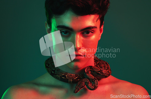 Image of Snake, beauty and man in studio with green mock up with cosmetics, skincare and lights aesthetic for creative, art and animal print. Neon creativity, natural and nature pet fearless model on mockup