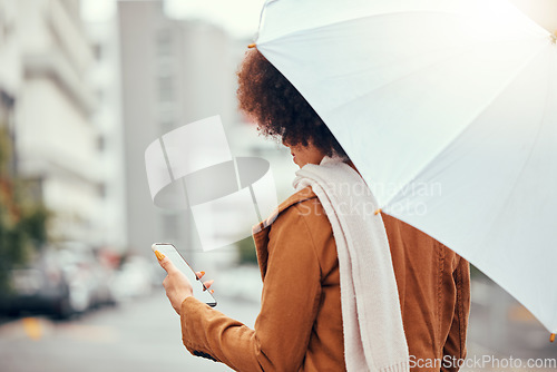 Image of Umbrella, phone and woman in a street during rain, winter and morning in the city while texting, waiting and checking message. Commute, business woman waiting for taxi in rainy weather in New York