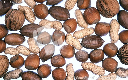 Image of Detail of nuts