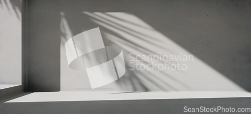 Image of Minimal product placement background with palm shadow on concret