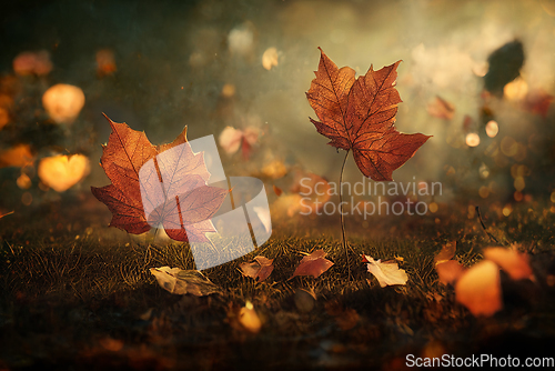Image of Closeup of falling autumn leaves in park. Fall landscape scene w