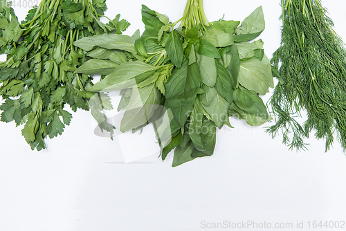 Image of parsley basil dill