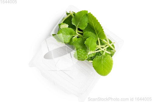 Image of Mint in plastic bag