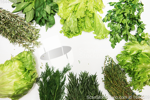 Image of Different types of fresh garden herbs
