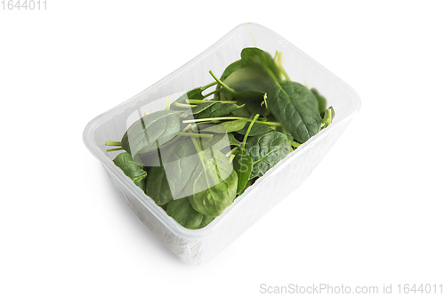 Image of Basil in plastic bag