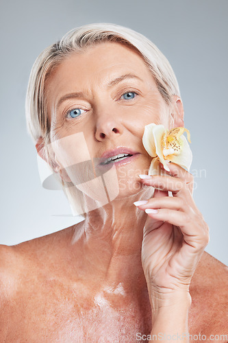 Image of Mature woman, beauty and flower portrait for natural skincare, wellness and health on a grey studio background. Senior woman, floral facial and glamour for soft, smooth and perfect skin care