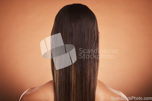 Image of Brunette woman, shine and hair care, beauty salon, balayage and hair dye, color cosmetics and wig extension on studio orange background. Back of head, scalp and long hair style with smooth texture