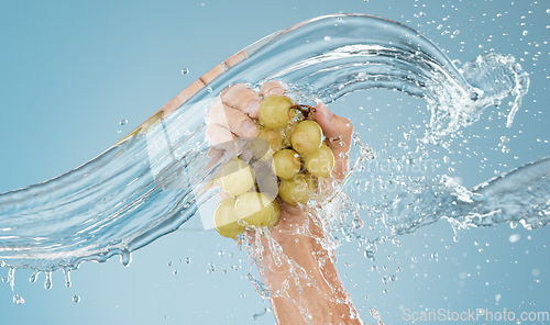 Image of Hands with grapes, water splash and studio blue background of fruits sustainability, healthy lifestyle and juice detox, nutrition and vitamins. Bunch of clean, vegan and diet green grapes in wet palm