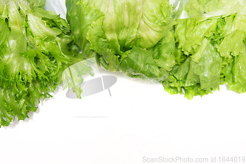 Image of Green lettuce group set