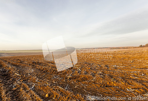 Image of plowed fertile soil