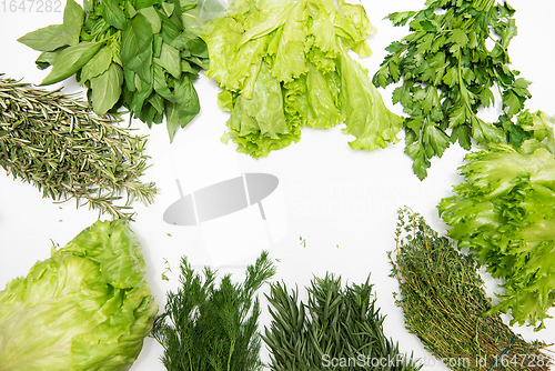 Image of Different types of fresh garden herbs