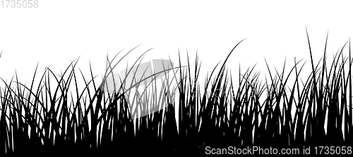 Image of Seamless Meadow Grass