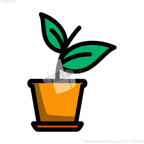 Image of Plant In Flower Pot Icon
