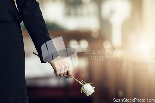 Image of Flower, funeral and hand holding rose in mourning at death ceremony with grief for loss burial. Floral, church or cemetary with person holding plant for sad bereavement or cemetary event in a chapel