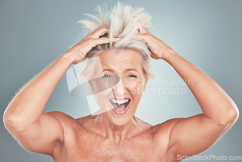 Image of Crazy, funny and senior woman with hair problem or style issue on a grey studio background. Damage, bad and messy of elderly female mistake with blonde hair loss for advertisement on a backdrop