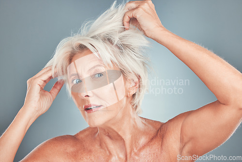 Image of Senior woman, messy hair and stress for salon care, cosmetics or cut against a grey studio background. Portrait of elderly female having a bad hair day looking for makeover or cosmetic treatment