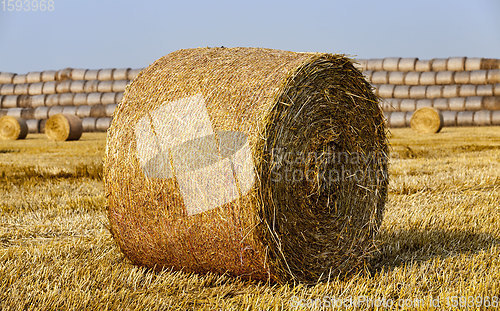 Image of agricultural field with straw stacks