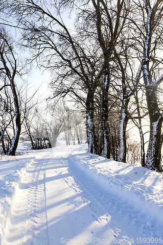 Image of snow-covered winter road