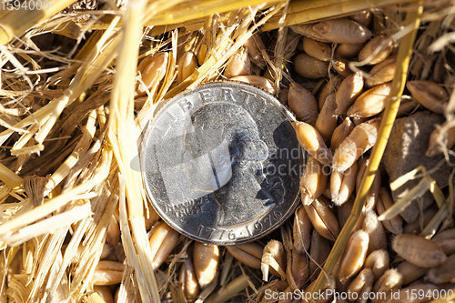 Image of American coins are cents