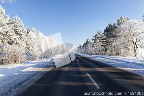 Image of road in the forest