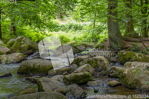 Image of nature reserve in the Bavarian Forest