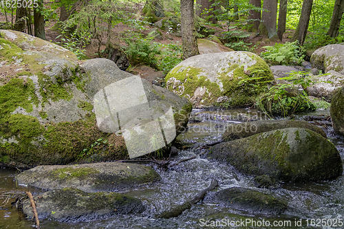 Image of nature reserve in the Bavarian Forest