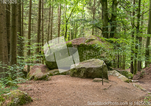 Image of nature reserve in the Bavarian Forest