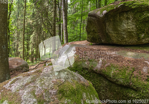 Image of nature reserve in the Bavarian Forest