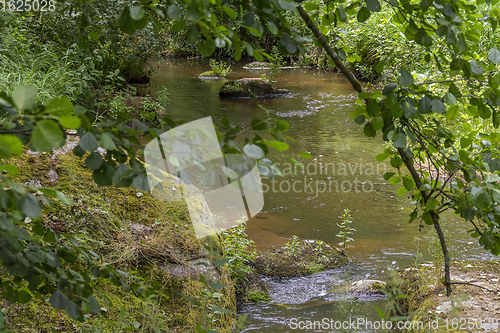 Image of nature reserve in the Bavarian Forest