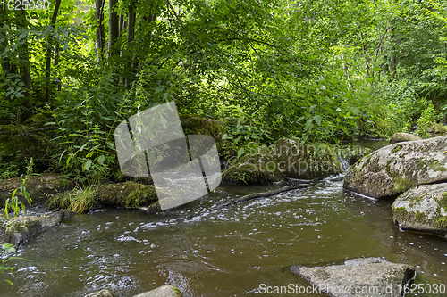 Image of nature reserve in the Bavarian Forest